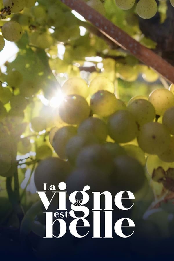 |FR| La vigne est belle 2022 HD 6