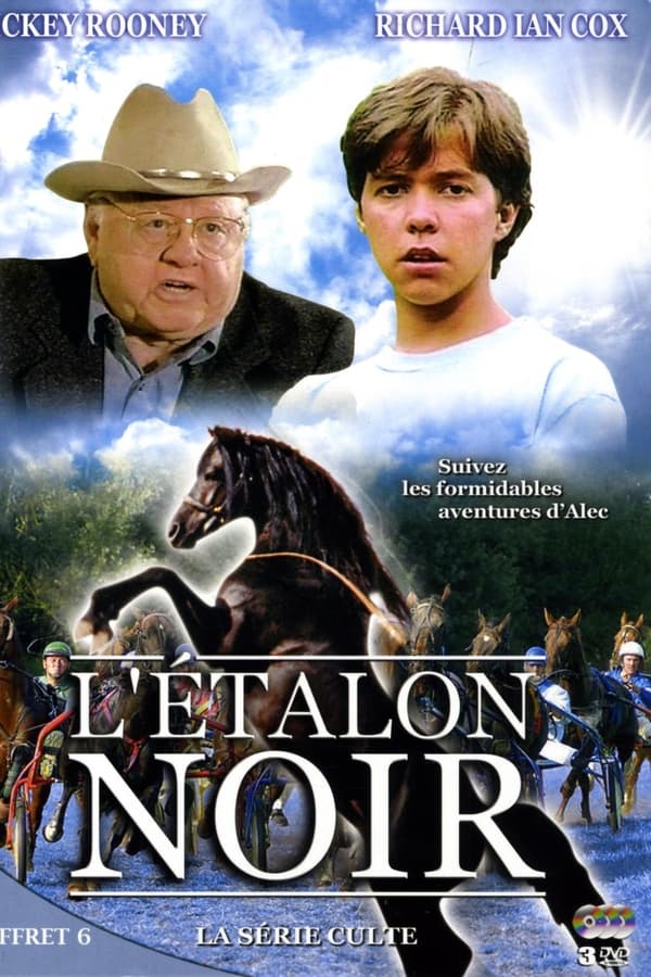 |FR| L Etalon noir (The Black Stallion) 1992 SD 6